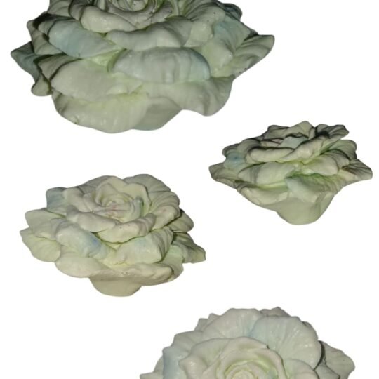 Rosa pomposa parte alta 3D