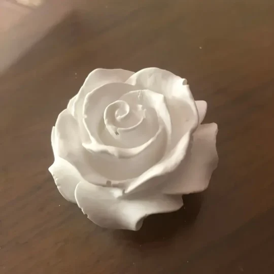 Rosa remolino pequeño 3D