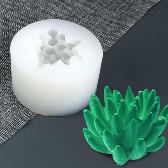 Suculenta picuda 3D