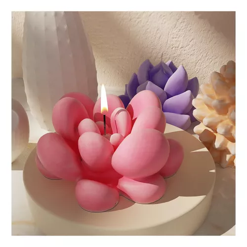 Suculenta bubble grande