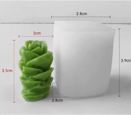 Molde suculenta crassula perforata
